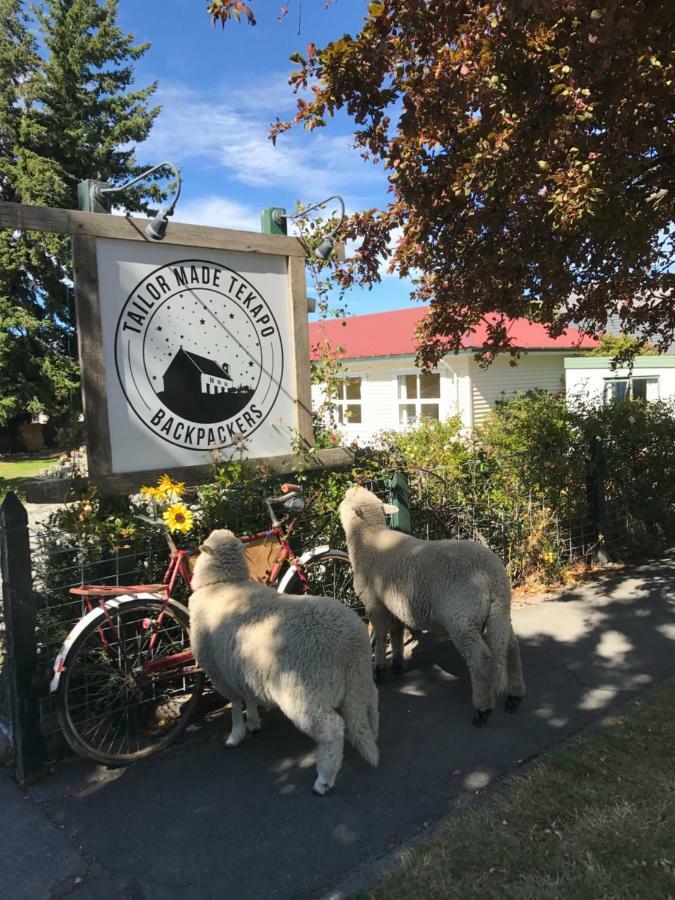 Tailor Made Tekapo Accommodation - Guesthouse & Hostel Lake Tekapo Ngoại thất bức ảnh