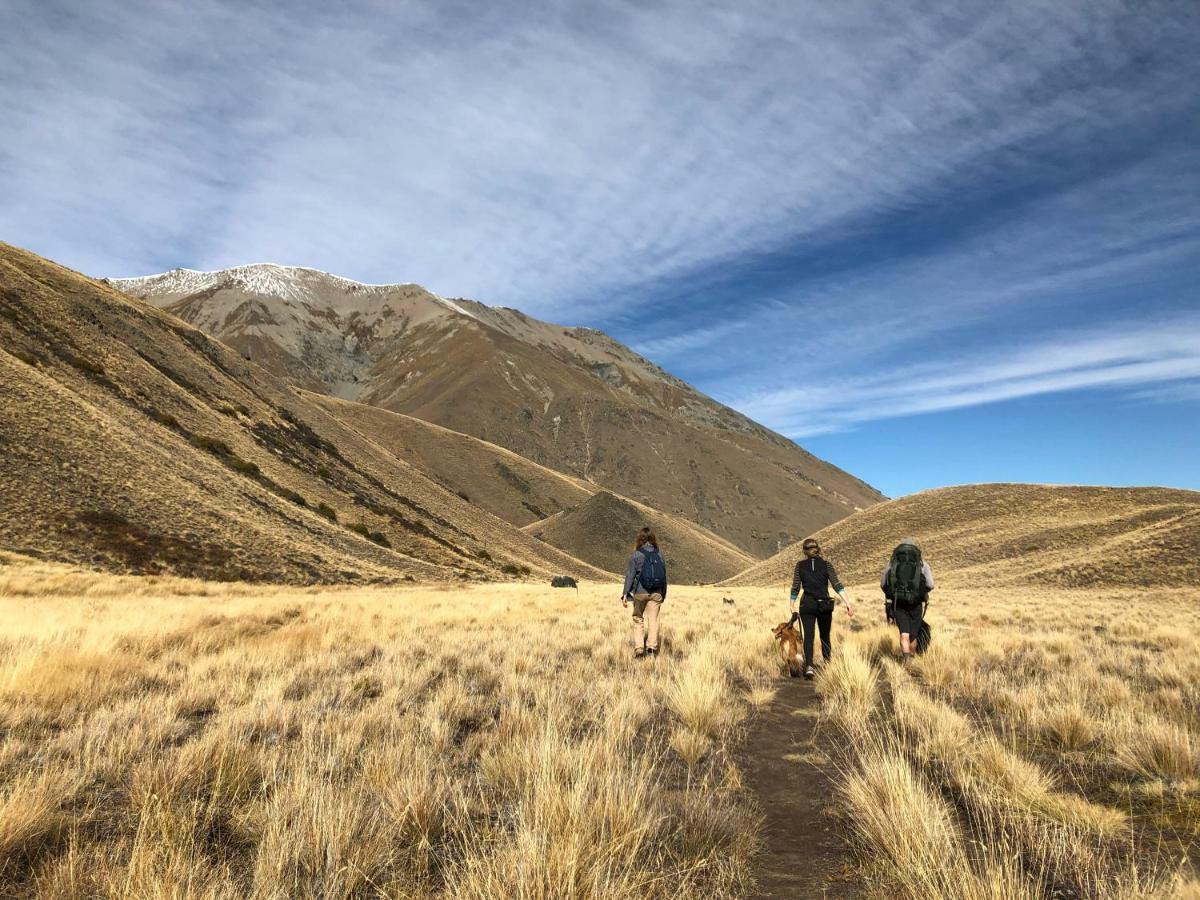 Tailor Made Tekapo Accommodation - Guesthouse & Hostel Lake Tekapo Ngoại thất bức ảnh